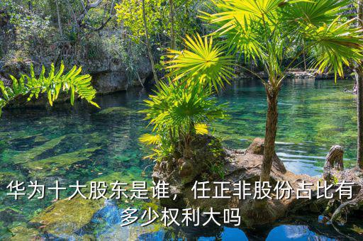 華為十大股東是誰，任正非股份占比有多少權(quán)利大嗎