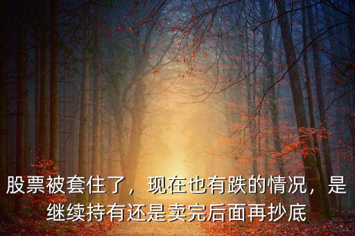 股票被套住了，現(xiàn)在也有跌的情況，是繼續(xù)持有還是賣完后面再抄底