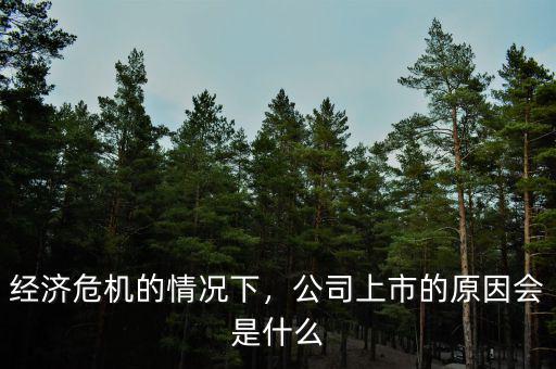 經濟危機的情況下，公司上市的原因會是什么