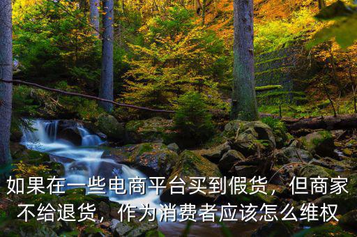 如果在一些電商平臺(tái)買到假貨，但商家不給退貨，作為消費(fèi)者應(yīng)該怎么維權(quán)