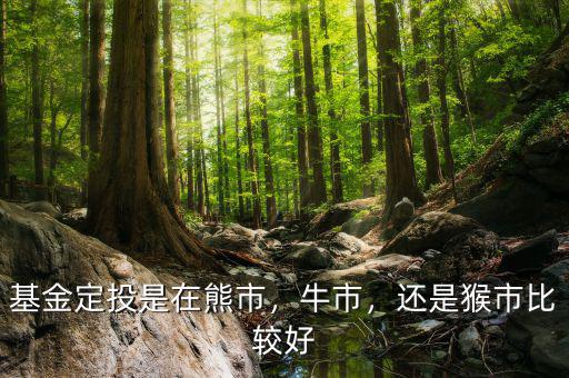基金定投是在熊市，牛市，還是猴市比較好
