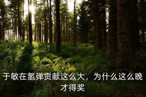 于敏在氫彈貢獻(xiàn)這么大，為什么這么晚才得獎