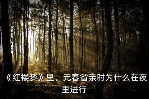 《紅樓夢》里，元春省親時為什么在夜里進行