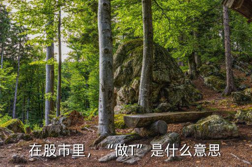 在股市里，“做T”是什么意思