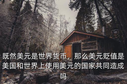 既然美元是世界貨幣，那么美元貶值是美國和世界上使用美元的國家共同造成嗎