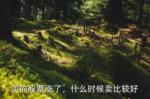 買的股票漲了，什么時(shí)候賣比較好
