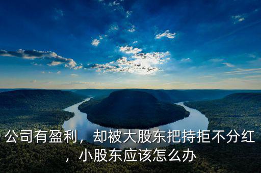 公司有盈利，卻被大股東把持拒不分紅，小股東應(yīng)該怎么辦