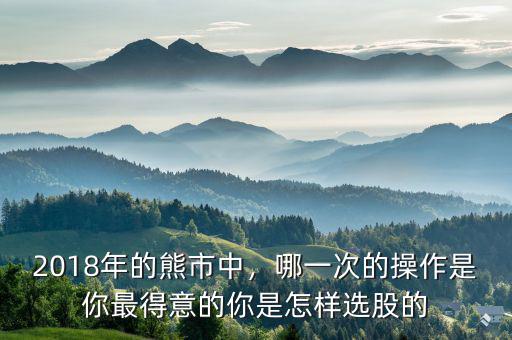 2018年的熊市中，哪一次的操作是你最得意的你是怎樣選股的