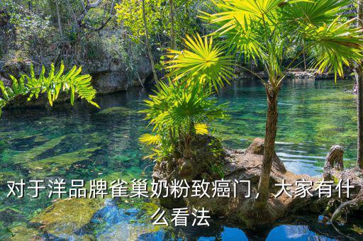對于洋品牌雀巢奶粉致癌門，大家有什么看法