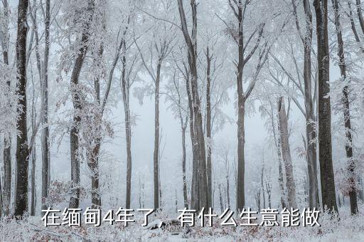 在緬甸4年了，有什么生意能做