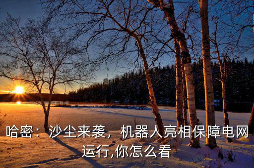 哈密：沙塵來(lái)襲，機(jī)器人亮相保障電網(wǎng)運(yùn)行,你怎么看