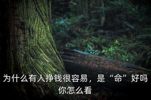 為什么有人掙錢很容易，是“命”好嗎你怎么看