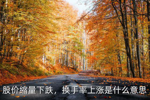 股價(jià)縮量下跌，換手率上漲是什么意思