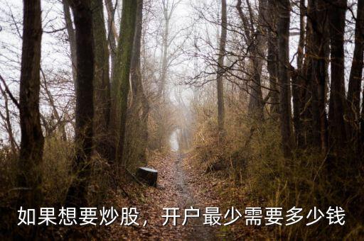 如果想要炒股，開戶最少需要多少錢