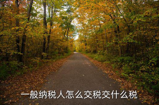 稅友可以繳納什么稅，一般納稅人應(yīng)該交什么稅稅率是多少啊