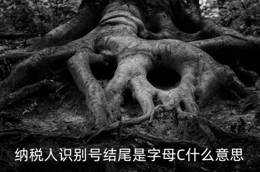 c級納稅人是什么意思，納稅人識別號結(jié)尾是字母C什么意思
