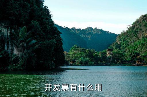 開發(fā)票是干什么用的，開發(fā)票有什么用