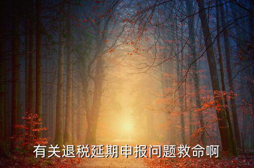 辦理退稅延期需要什么材料，公司出口報(bào)關(guān)單馬上就過三個(gè)月了到稅務(wù)如何辦理退稅延長(zhǎng)期具