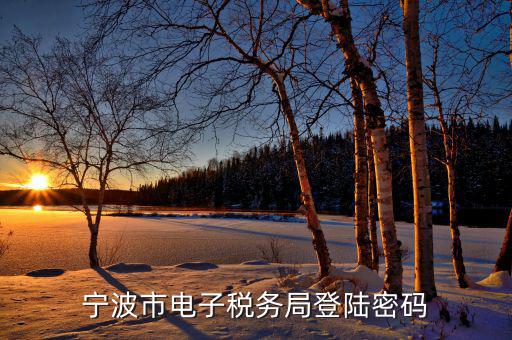 電子稅務(wù)默認(rèn)登錄密碼是什么，稅務(wù)局網(wǎng)站的登入賬戶(hù)初始密碼是什么