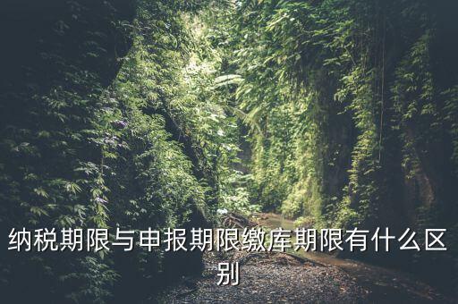 申報(bào)期限 繳款期限是什么意思，增值稅申報(bào)期限與繳款期限都是15號(hào)之前嗎如超出期限怎樣處理