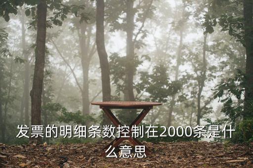 發(fā)票明細(xì)什么意思，發(fā)票的明細(xì)條數(shù)控制在2000條是什么意思