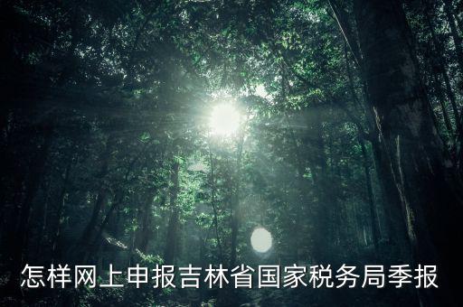 吉林省用什么報(bào)稅系統(tǒng)，吉林省的報(bào)稅系統(tǒng)如何使用