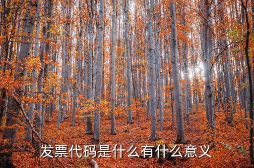 票據(jù)代碼是什么意思，中國(guó)航空票證結(jié)算代碼是什么意思