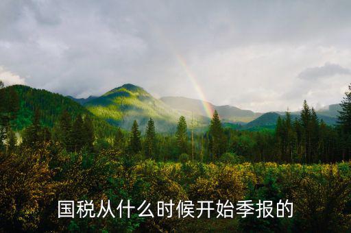 國稅什么時間申報，國稅從什么時候開始季報的