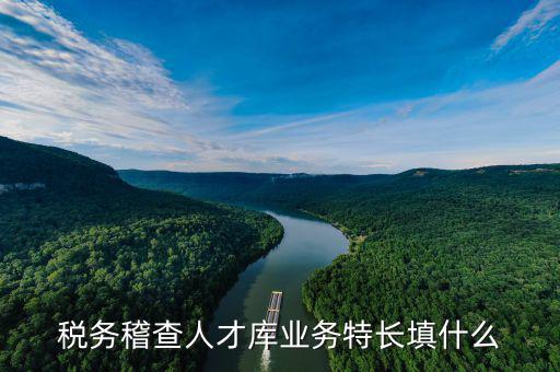 地稅局的人才庫(kù)是什么，地稅局的人具體做什么