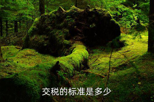 國家收稅的標(biāo)準(zhǔn)是什么，交稅的標(biāo)準(zhǔn)是多少