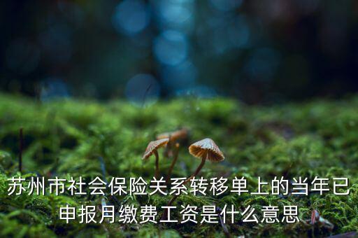 社保已申報(bào)是什么意思，新手求助請(qǐng)問網(wǎng)上申報(bào)是什么意思