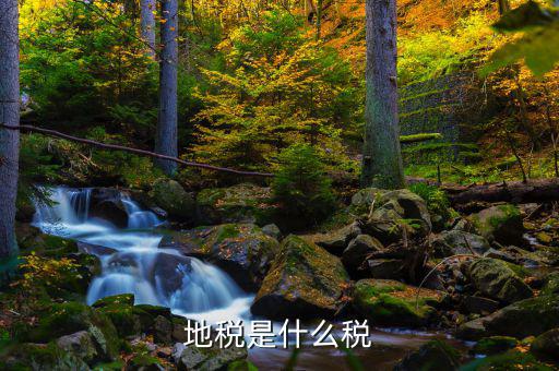 地稅專項收入是什么稅，地稅是什么稅