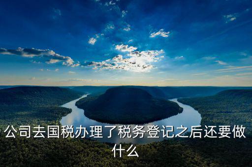 國稅辦完之后辦什么，公司去國稅辦理了稅務登記之后還要做什么