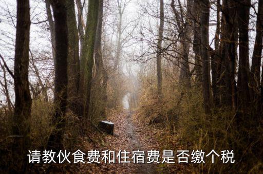 住宿費(fèi)屬于什么稅，請(qǐng)教伙食費(fèi)和住宿費(fèi)是否繳個(gè)稅