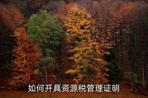 資源稅乙種證明要什么資料，混凝土公司購買砂石需要開具資源稅乙種證明嗎