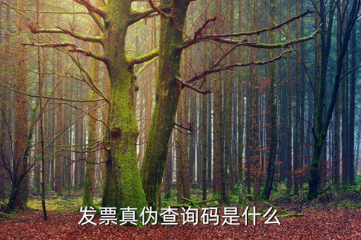 定額發(fā)票真?zhèn)尾樵?xún)號(hào)是什么，發(fā)票真?zhèn)尾樵?xún)碼是什么