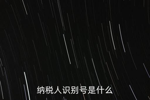 電子稅務(wù)局納稅人識別號是什么，納稅人識別號是什么