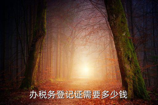 稅務(wù)局登記需要什么手續(xù)費(fèi)，辦稅務(wù)登記證需要多少錢