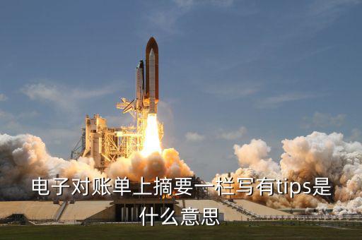 國(guó)稅tips系統(tǒng)指什么，電子對(duì)賬單上摘要一欄寫有tips是什么意思