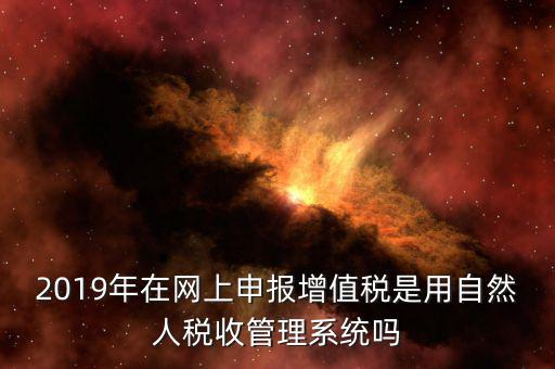 什么是增值稅管理系統(tǒng)，2019年在網(wǎng)上申報增值稅是用自然人稅收管理系統(tǒng)嗎