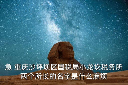 稅務(wù)所所長(zhǎng)什么級(jí)別，地稅局基層稅務(wù)所屬什么層級(jí)