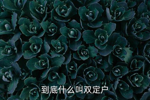 什么是雙定戶，雙翅一一翻雙眉什么雙眼什么