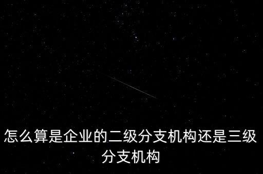 什么叫企業(yè)二級分支機構(gòu)，現(xiàn)在分公司要辦稅務(wù)登記證但是我想問一下二級分機構(gòu)指的是
