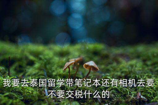 泰國什么人需要納稅，我要去泰國留學(xué)帶筆記本還有相機去要不要交稅什么的