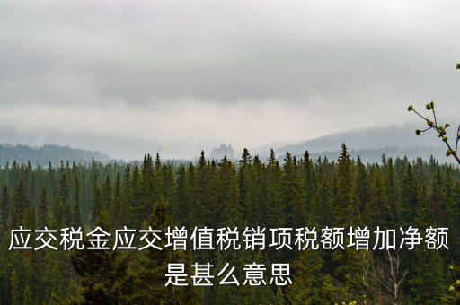 稅額增長點(diǎn)是什么意思，應(yīng)交稅金應(yīng)交增值稅銷項(xiàng)稅額增加凈額是甚么意思