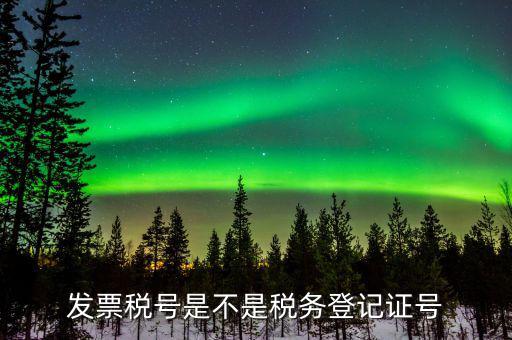 稅號(hào)是在稅務(wù)登記證的什么地方，稅號(hào)在稅務(wù)登記證哪里