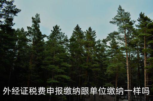 外經證稅費申報繳納跟單位繳納一樣嗎