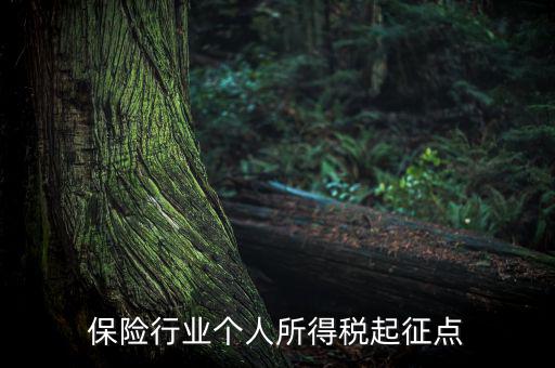 保險(xiǎn)行業(yè)入交什么稅，保險(xiǎn)行業(yè)個(gè)人所得稅起征點(diǎn)