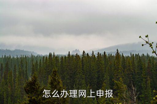 航天數(shù)字證書是什么，機(jī)打發(fā)票上顯示輸入正確的數(shù)字證書怎么回事