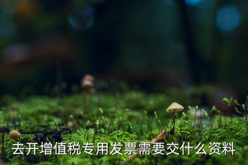 開專票需要對(duì)方什么資料，開具增值稅專用發(fā)票需要購(gòu)買方提交什么資料稅屋